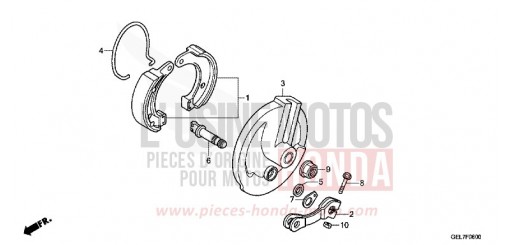 BREMSPLATTE, VORNE CRF50FD de 2013